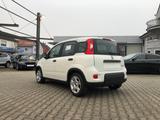 Fiat New Panda 1.0 Hybrid *5 Sitzer Klima Komfort* - Fiat New Panda aus 2024