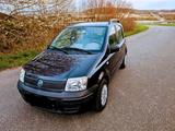 Fiat Panda - Fiat Panda Gebrauchtwagen in Kassel