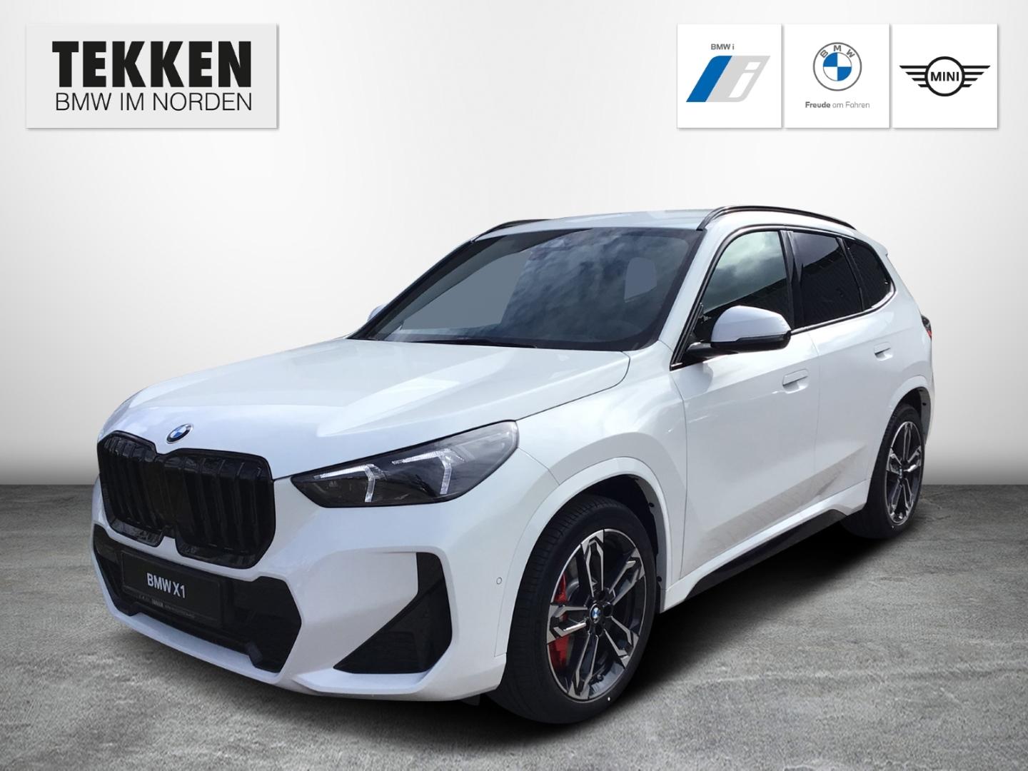 BMW X1 sDrive18d M-Sport Pro AHK/ACC/HUD/DAB/360Grad