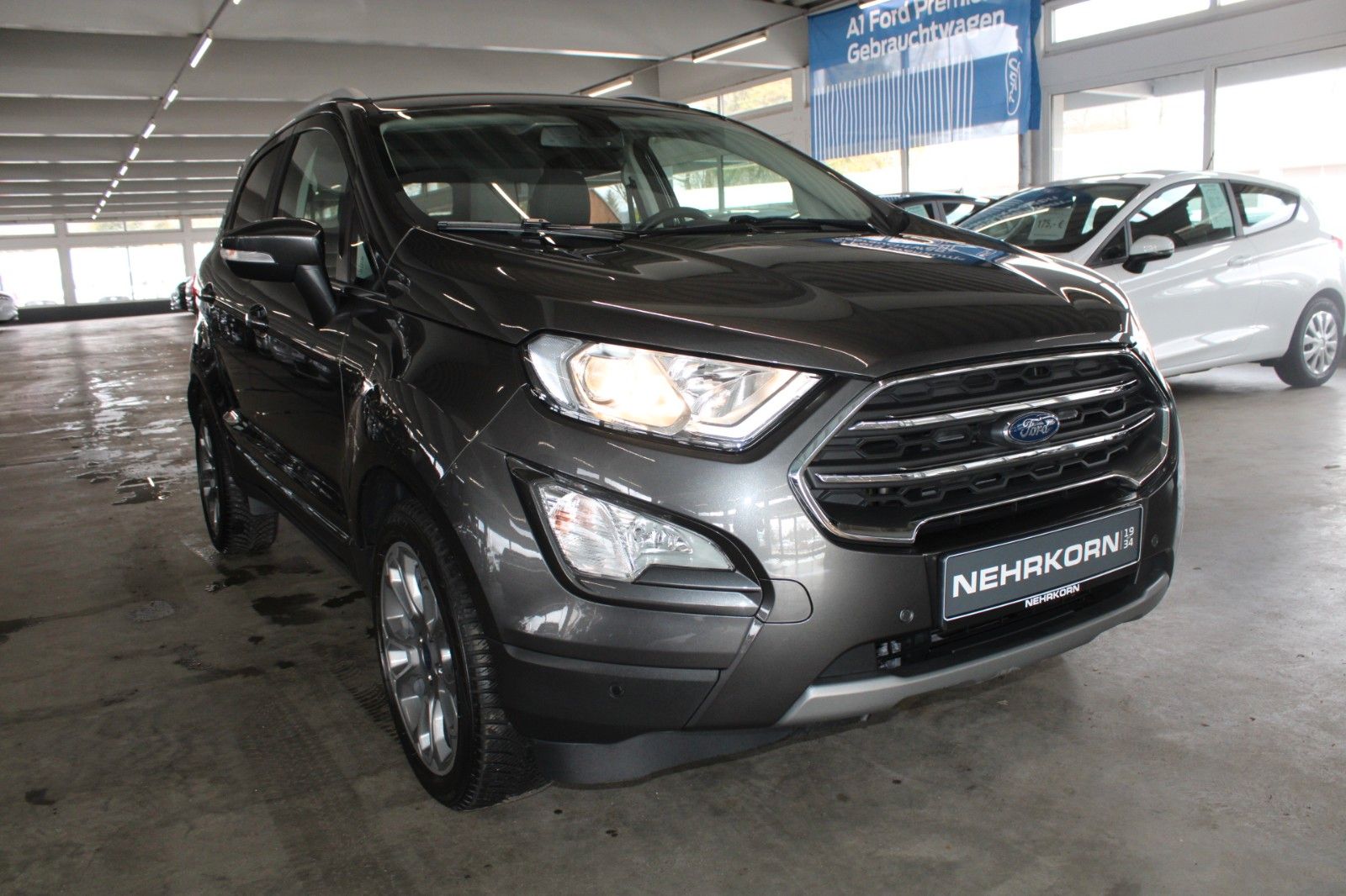 Fahrzeugabbildung Ford EcoSport Titanium NAVI Schiebedach CAM WinterPak