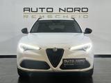 Alfa Romeo Stelvio 2.2 Diesel *Kamera*Navi*ACC*DAB*Spur* - weiße Alfa Romeo Stelvio