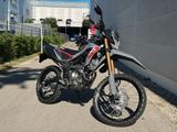 Honda CRF300L Modelljahr 2025 " Verfügbar" - HONDA CRF 300 L