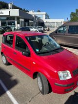 Fiat Panda 1.2 8V Dynamic - Fiat Panda aus 2008
