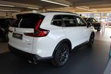 Honda CR-V Hybrid 2WD Elegance - Honda CR-V in Hamm