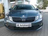 Skoda Octavia Lim. Ambition - Skoda Octavia Gebrauchtwagen in München