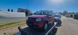 Fiat P anda  4x4 benziner - Fiat Panda Gebrauchtwagen in Stuttgart