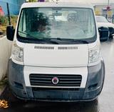 Fiat Ducato Maxi Pritsche Lang 250 Diesel - Fiat Ducato: Lang