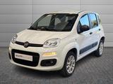 Fiat FIAT Panda 3ª serie - Panda 0.9 TwinAir Turbo S& - Fiat Panda: Kombi