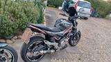 Suzuki Gladius 2x Sfv 650