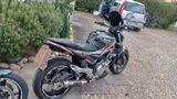 Suzuki Gladius 2x Sfv 650 - SUZUKI 650 GLADIUS