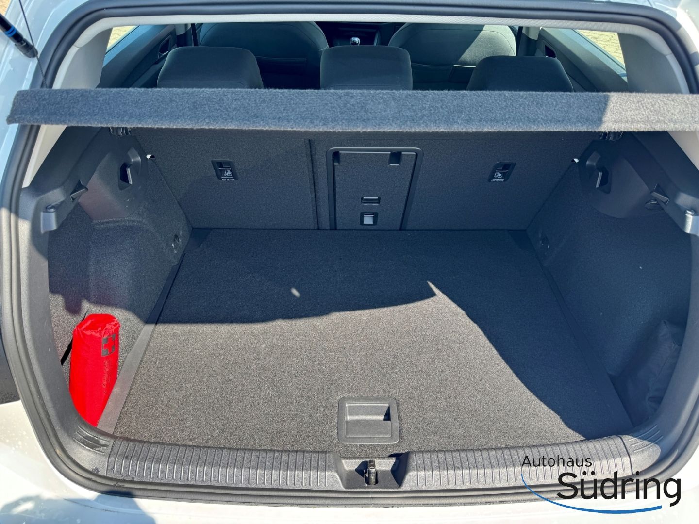 Golf VIII 1,0 TSI Life AppConnect Rückfahrk.