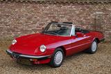 Alfa Romeo Spider 2.0 Graduate Recently restored and rebuil - Alfa Romeo Spider Oldtimer
