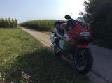Triumph TT 600 - TRIUMPH 600