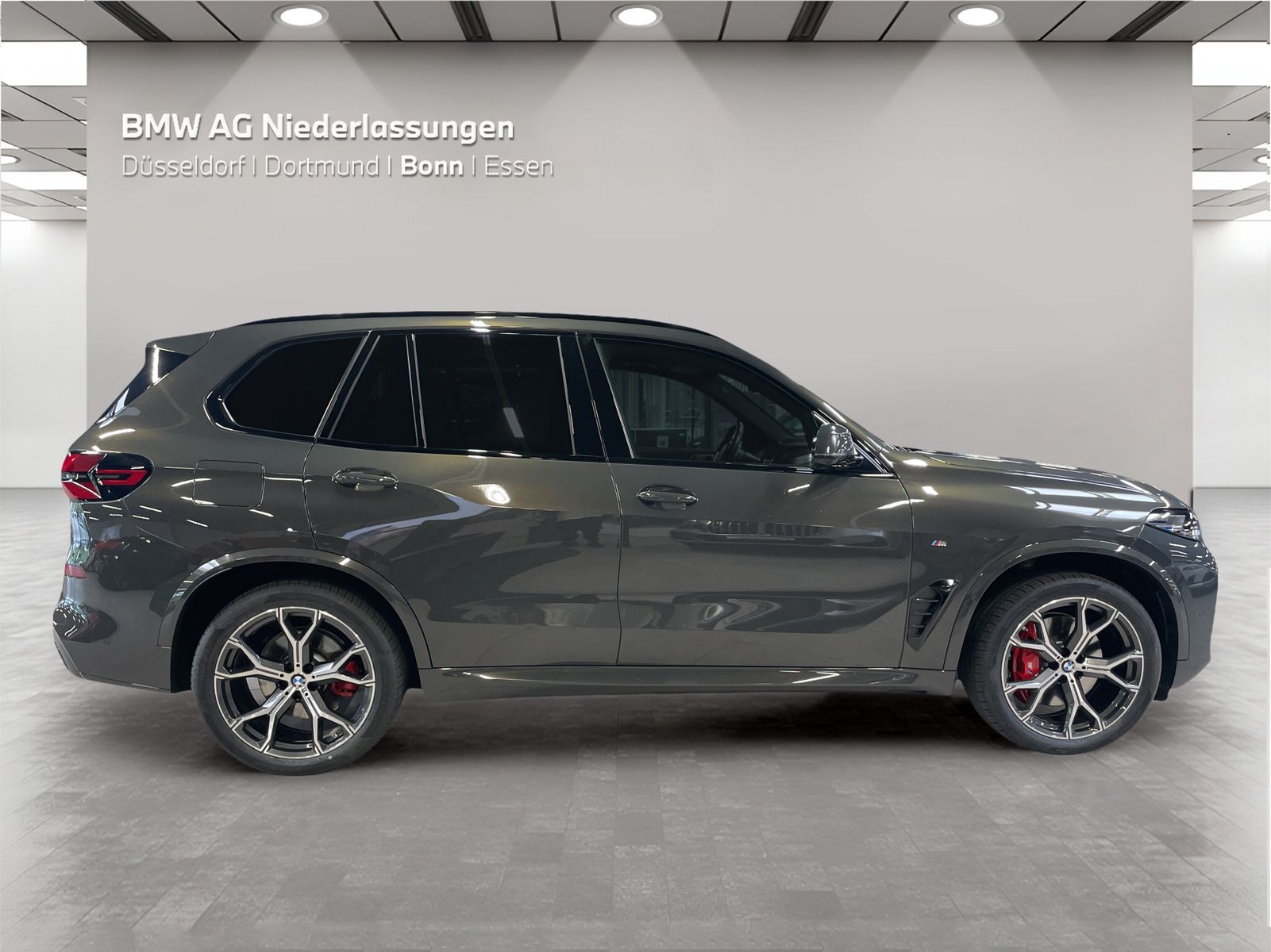 BMW X5 xDrive30d M Sport AHK Driv.Assist.Prof LED foto 4