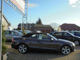 Audi A5 Cabriolet*LEDER*BI-XENON*S-LINE - Audi A5 aus 2010: Line
