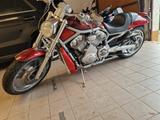 Harley-Davidson VRSCA V-ROD - Offers