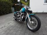 Harley-Davidson Sportster 883 - SHOW BIKE - HARLEY-DAVIDSON 1993 SPORTSTER