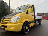 Mercedes-Benz Sprinter 313 CDI AMG 22 Zoll Pritsche 4,30m Navi - Mercedes-Benz Koffer C4 sprinter 313