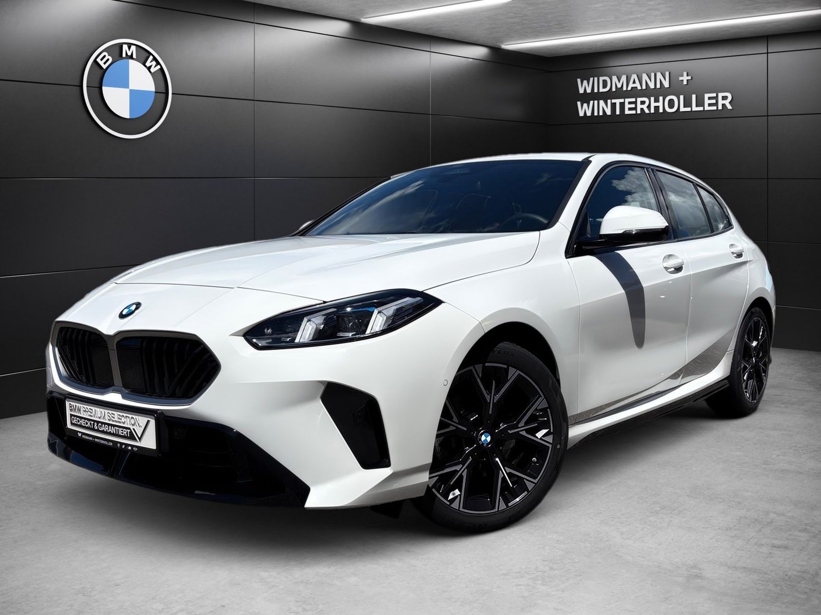 BMW 120d M Sport Navi adapt. LED DA RFK 18´´ PA