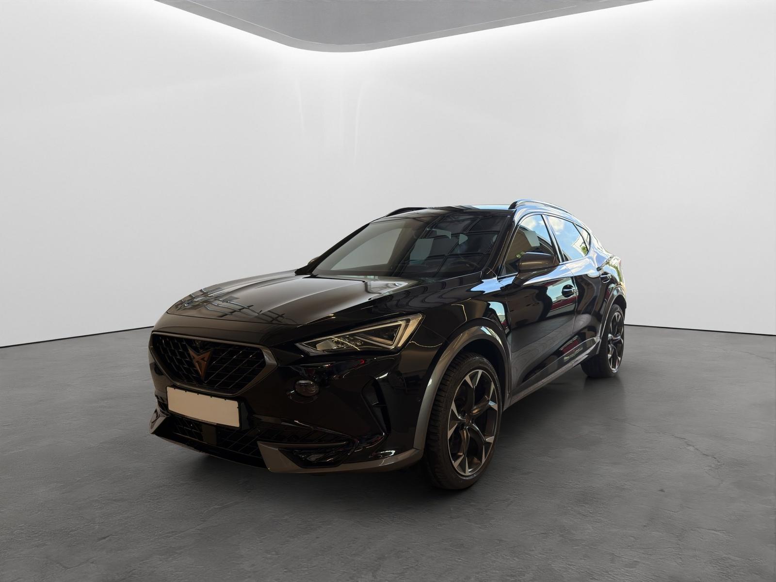 Cupra Formentor 2.0 TSI DSG 4Drive VZ LED+NAVI+AHK+19