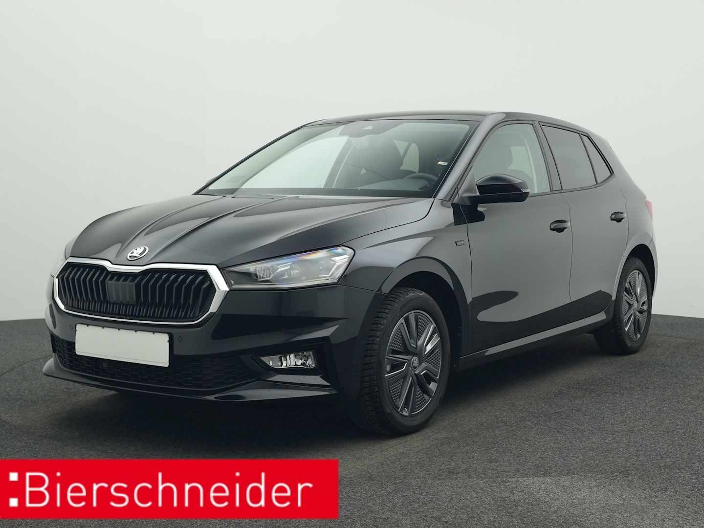 Skoda Fabia 1.0 TSI DSG Selection Tour KAMERA NAVI LED