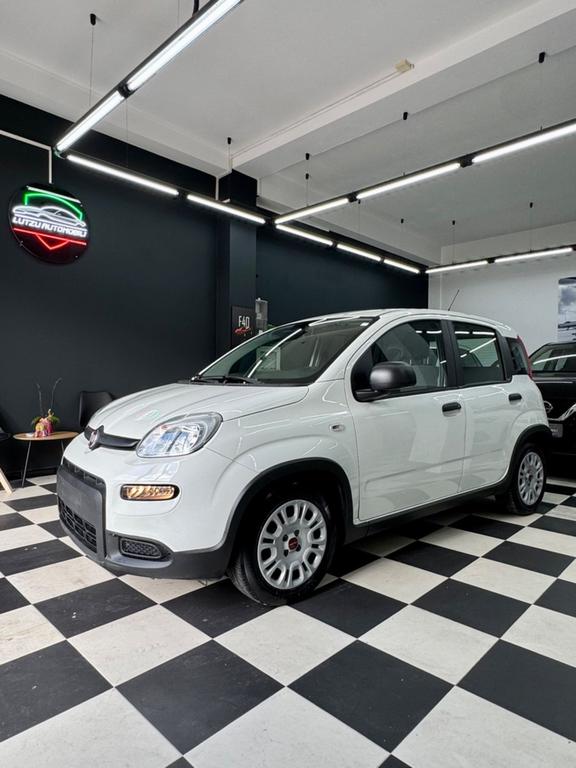 Fiat Panda 10 Hybrid City Life FINANZIABILE 2022