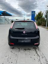 Fiat Punto 1.2 TÜV NEU 1. Hand - gebrauchte Fiat Punto aus dem Jahr 2015