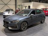Cupra Leon 2.0 TSI DSG 1.Hand - scheckheftgepflegte Cupra Leon