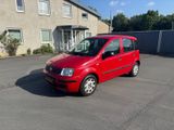 Fiat Panda 1.2 8V MyLive/ HU NEU/ Service NEU - Fiat Panda: My