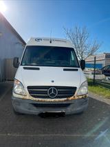 Mercedes-Benz Mercedes Sprinter 313 CDI - Mercedes-Benz Sprinter mit Benzin-Antrieb
