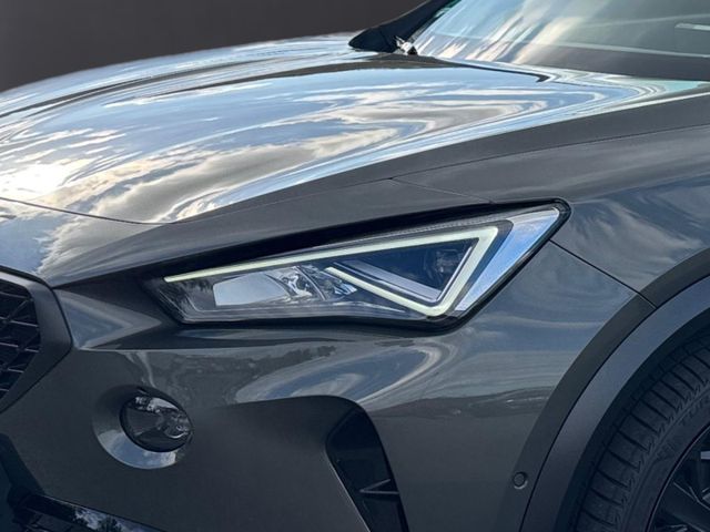 Formentor 2.0 TSI VZ Tribe Edition Navi AHK ACC
