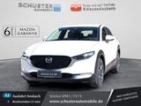 Mazda CX-30 2.5l Prime-Line Head-up/Kamera/Navi/LED - Mazda CX-30: Prime Line