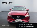 Mazda CX-5 SKYACTIV-G 194 Signature+ *Matrix*360°*BOSE - gebrauchte Mazda CX-5 aus dem Jahr 2018