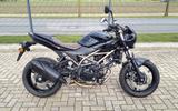 Suzuki SV 650 X RACER AUCH A2 35KW + HELM - SUZUKI 650 R