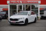 Skoda Octavia Combi 1.5 TSI First Edition LED Navi ACC - Skoda Octavia: Edition