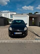 Fiat Punto 1.2 Young Edition - Fiat Punto YOUNG mit Benzin-Antrieb