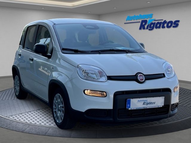 Image of Fiat Panda