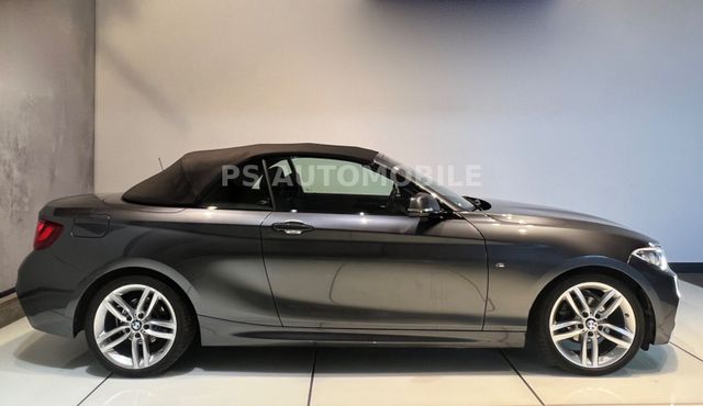 BMW 218i Cabrio M Sport/NAVI/KLIMAAUT/BI-XE/RFK