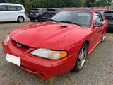 Ford Cobra Mustang 4.6L 227KW Cabrio - Ford aus 1997