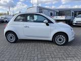 Fiat 500 C 1.0 Hybrid Dolcevita SITZHEIZUNG,CARPLAY - Fiat 500C: Sitzheizung