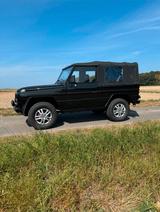 Mercedes-Benz G 250 D - Wolf - Mercedes-Benz G 250: D