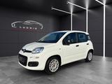 Fiat Panda Base/1HAND/EURO6/52KW/KLIMA/SERVO - Fiat Panda Gebrauchtwagen in Stuttgart