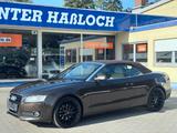 Audi A5 Cabriolet 3.0 TDI quattro Sportpaket 20" - Audi A5 aus 2010: 3.2