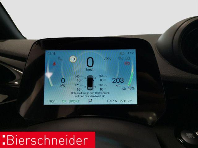 BYD Dolphin DMS Comfort Navi ACC CAM