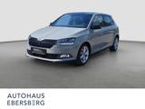 Skoda Fabia Monte Carlo 1.0 TSI SHZ Navi BT - Skoda Fabia: Monte Carlo