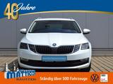 Skoda Octavia 1.6 TDI Clever AHK/LED/17-ZOLL/NAVI/BUSI - Skoda Octavia: 1.6