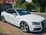 Audi A5 3.0 TDI (DPF) S tronic quattro Cabriolet - - Audi A5 aus 2009: Cabrio