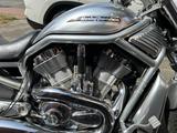 Harley-Davidson V-ROD / VRSCA