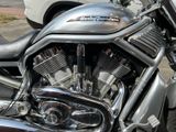 Harley-Davidson V-ROD / VRSCA