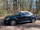 Volkswagen Beetle Cabrio Nutria beige 1,4 ... - Volkswagen Beetle in Hannover